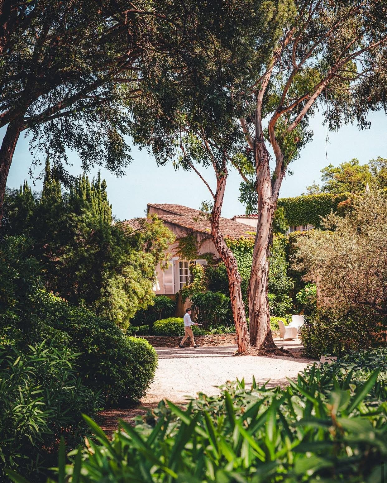 © La Mandarine St-Tropez – Visuel officiel | Source : Instagram @lamandarinesttropez