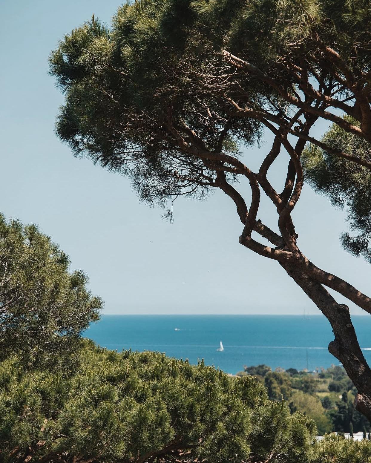 © Villa Marie St-Tropez – Visuel officiel | Source : Instagram @villamariesainttropez
